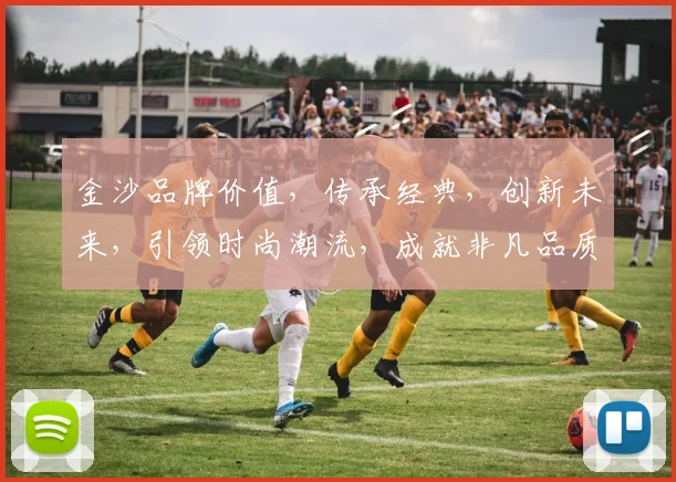 金沙品牌价值，传承经典，创新未来，引领时尚潮流，成就非凡品质，三大亮点共铸辉煌。