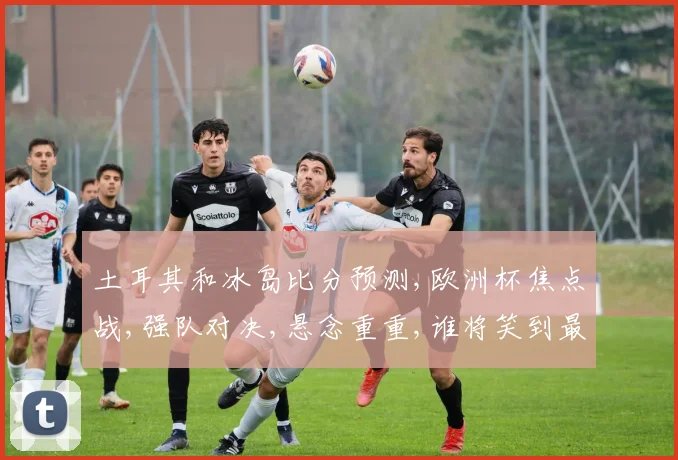 土耳其和冰岛比分预测,欧洲杯焦点战,强队对决,悬念重重,谁将笑到最后