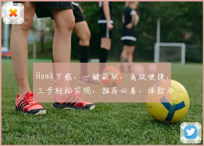 Hawk下载，一键获取，高效便捷，三步轻松实现，推荐必看，体验非凡