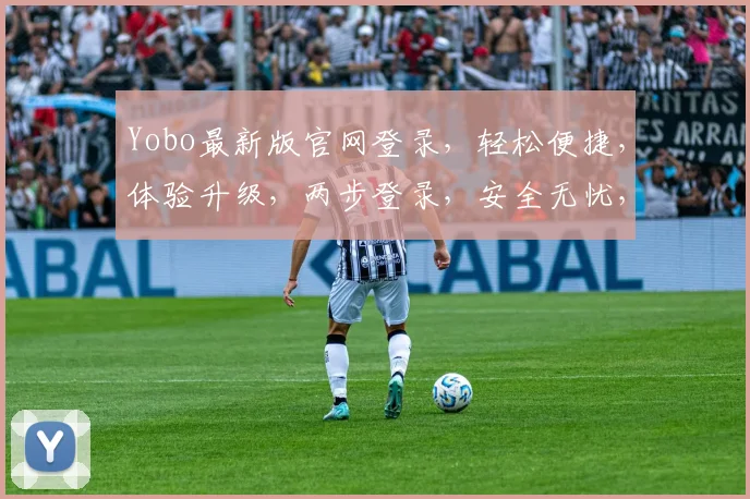 Yobo最新版官网登录，轻松便捷，体验升级，两步登录，安全无忧，快来体验