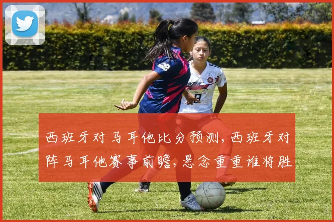 西班牙对马耳他比分预测,西班牙对阵马耳他赛事前瞻,悬念重重谁将胜出