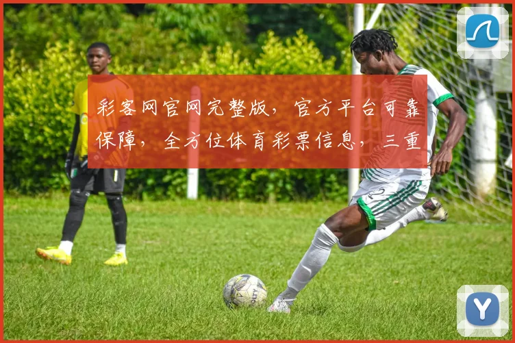 彩客网官网完整版，官方平台可靠保障，全方位体育彩票信息，三重惊喜，不容错过，速来体验